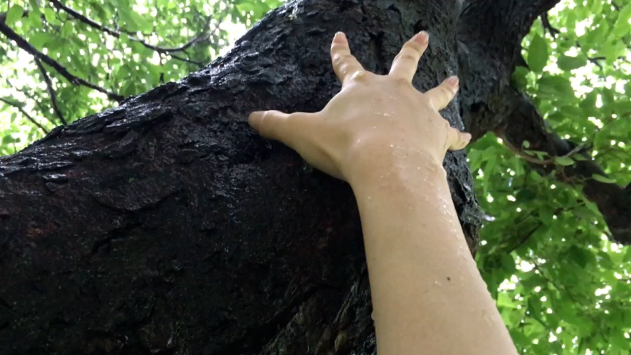 洗濯チェーホフ