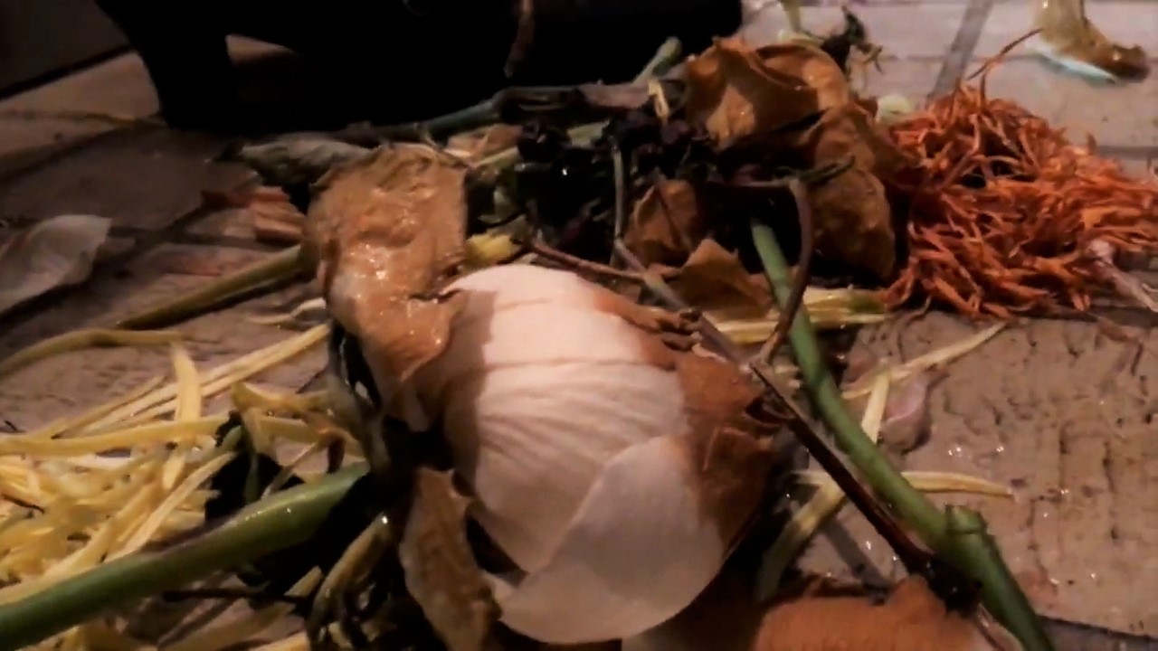 下駄箱チェーホフ